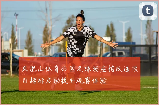 凤凰山体育公园足球场座椅改造项目招标启动提升观赛体验